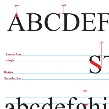typography project